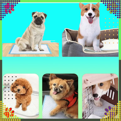 Podkłady Maty Higieniczne dla Psa do Nauki Sikania Xl 40x60cm Grube 50 szt-RC-K-1508-5906301406853-Pool Garden Party