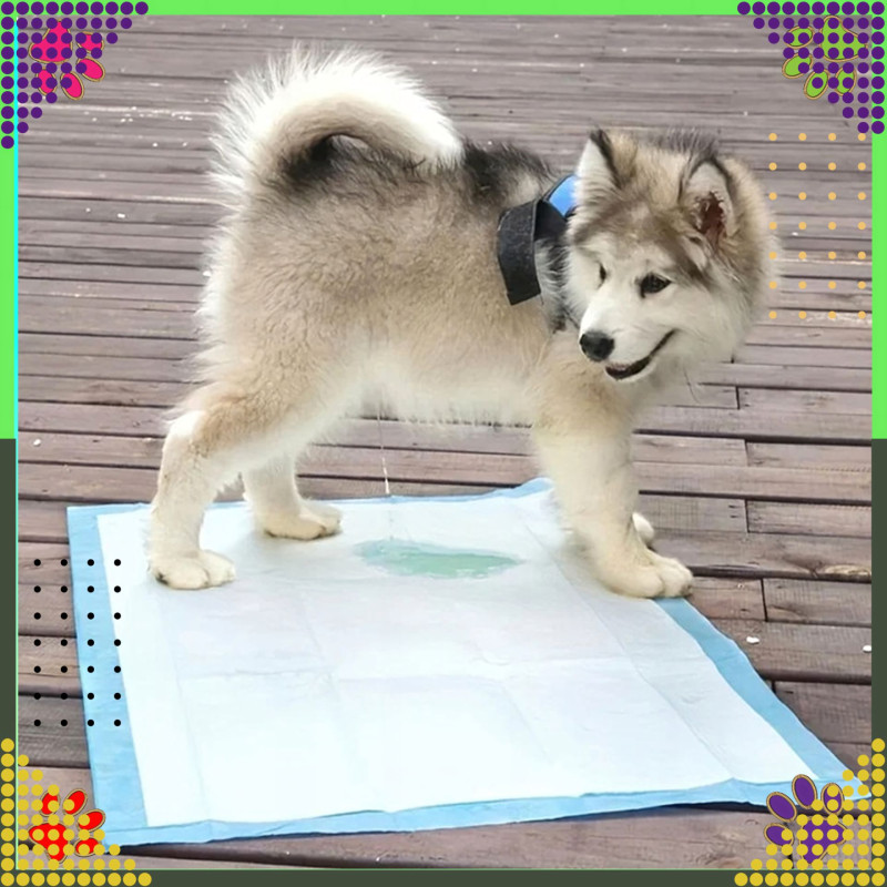 Podkłady Higieniczne Maty dla Psa do Nauki Sikania XL 90x60cm Grube 50 szt