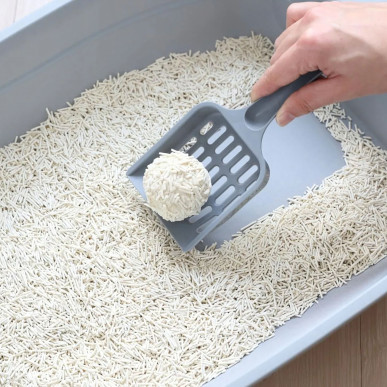 Żwirek Tofu dla Kota BIODEGRADOWALNY Ekologiczny 100% Naturalny 2,5kg 5l-RC-K-2020-Pool Garden Party- 5906301420262