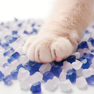 Żwirek Silikonowy dla Kota do Kuwety 1,5 kg Niezbrylający Bezpyłowy Wydajny-RC-K-2022-5906301420286-Pool Garden Party