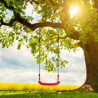 Huśtawka ogrodowa dla dzieci – lekka i wytrzymała, z tworzywa sztucznego + karabińczyki-RC-K-1745-Pool Garden Party