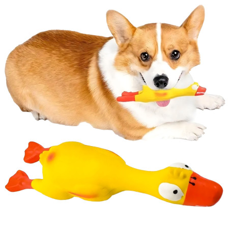 Duży piszczący kurczak dla psa – idealny do gryzienia, szarpania i aportowania 22 cm-RC-K-1720-Pool Garden Party