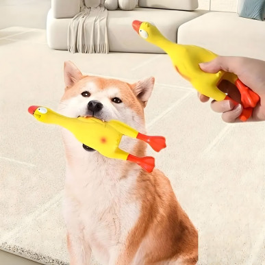 Duży piszczący kurczak dla psa – idealny do gryzienia, szarpania i aportowania 22 cm-RC-K-1720-Pool Garden Party