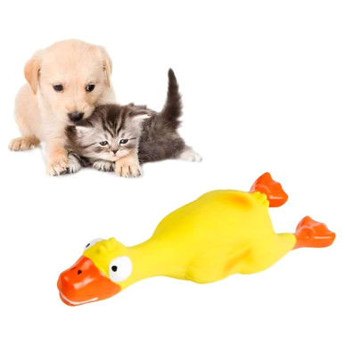 Duży piszczący kurczak dla psa – idealny do gryzienia, szarpania i aportowania 22 cm-RC-K-1720-Pool Garden Party