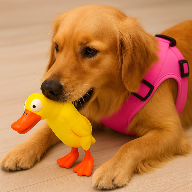 Duży piszczący kurczak dla psa – idealny do gryzienia, szarpania i aportowania 22 cm-RC-K-1720-Pool Garden Party