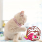 Interaktywna Piłka dla Kota z Myszka Piórkami i Grzechotką – 6 cm Interaktywna Piłka dla Kota z Myszka Piórkami i Grzechotką – 6 cm